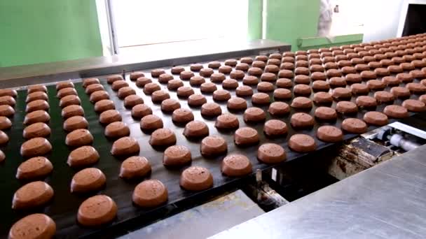 Bakning produktionslinje. Råa okokt kakor efter formning gå till ugnen med transportör — Stockvideo