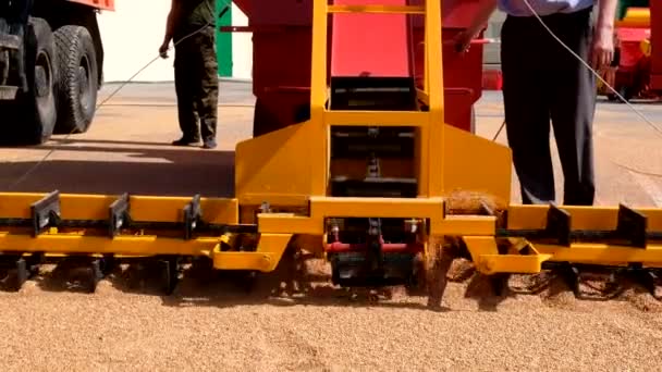 Grijpen graan uit asfalt oppervlak door schrapers van transportband graan loader — Stockvideo