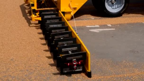 Agarrando grano de la superficie de asfalto por rascadores de la cargadora de grano transportador — Vídeos de Stock