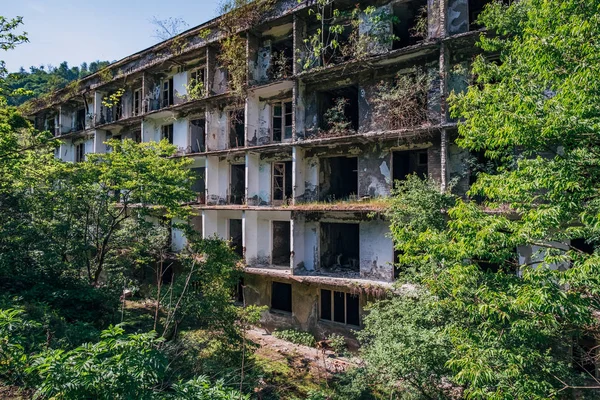 Überwuchertes Wohnhaus in Geisterstadt, Kriegsfolgen in Abchasien, grünes postapokalyptisches Konzept — Stockfoto