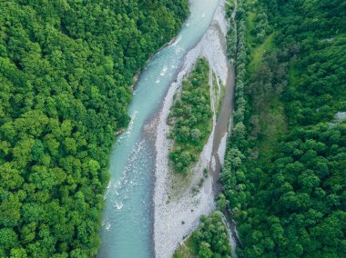 Ormanda akan dağ nehrinin üzerinde