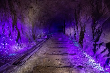 Terk edilmiş uranyum madeni ultraviyole ışıkla aydınlatıldı