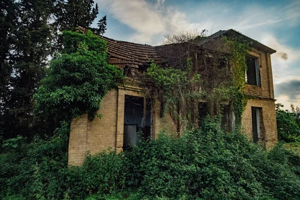 Kleine Verlassene Verwilderte Villa Abchasien — Stockfoto