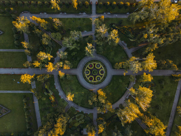 Top drone view of park, modern garden design.