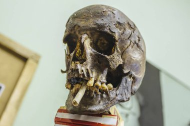 Sigara ile insan kafatası, sigara karşıtı kavram