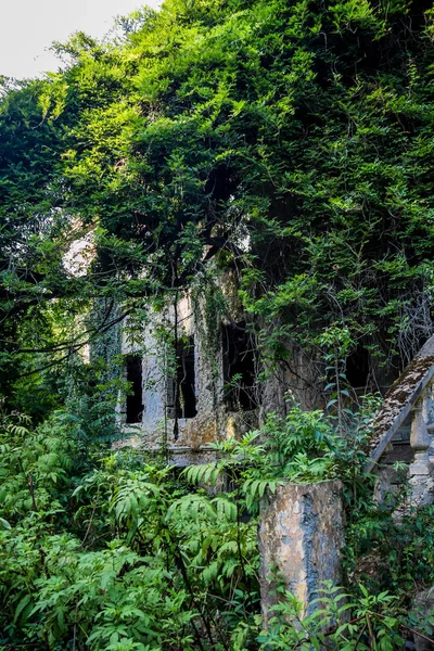 Zarostlé rozvaliny opuštěného sídla, Abcházie. Zelený post-Apoca — Stock fotografie