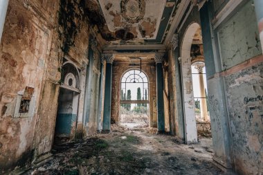 Harap büyük salon iç bitkiler ve yosun tarafından büyümüş