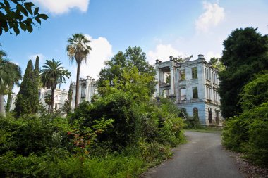 Terk edilmiş saray, Abhazya'nın büyümüş kalıntıları. Yeşil apocal sonrası