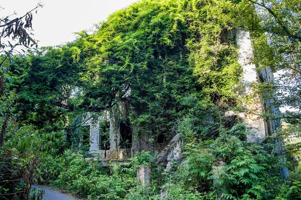 Az elhagyott kúria, Abházia romjai. Zöld post-Apoca — Stock Fotó
