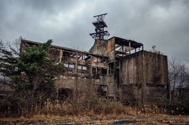 Eski harap terk edilmiş fabrika. Abhazya'da geç sonbahar, Gürcistan