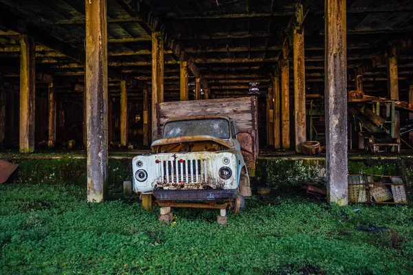 सोडलेल्या ओव्हरग्रो येथे काच मध्ये बुलेट राहील जुना रस्सी ट्रक — स्टॉक फोटो, इमेज