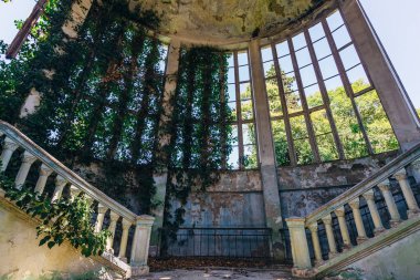 Harap konak iç bitkiler tarafından büyümüş sarmaşık kazanmak tarafından Overgrown