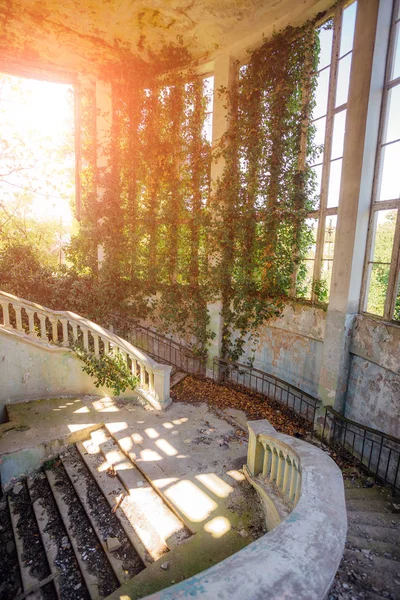 Interno di villa rovinato ricoperto da piante Overgrown da edera sta — Foto Stock
