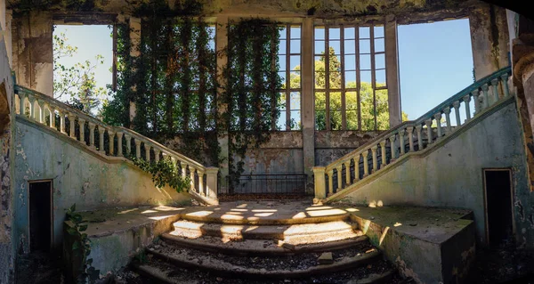 Interior de la mansión arruinada cubierto de plantas cubierto de hiedra ganar —  Fotos de Stock
