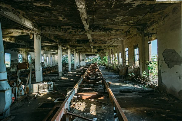 Oude overwoekerde verlaten vernield industrieel gebouw — Stockfoto