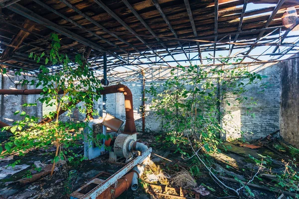 Velho overgrown abandonado arruinado edifício industrial — Fotografia de Stock