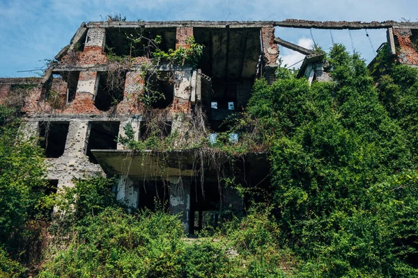 Переросшие руины заброшенной школы со следами от пуль, — стоковое фото