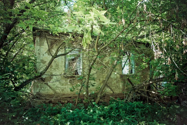 Terk edilmiş Rus köyü. Büyümüş harap kırsal ev — Stok fotoğraf