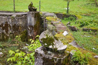 Büyümüş parkta eski terk edilmiş harap çeşme