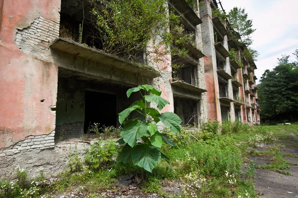 Verlassene Grubengeisterstadt Poljana, Abchasien. zerstörte leere h — Stockfoto
