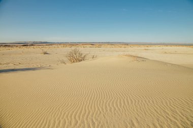 Doğal çöl manzarası, kum tepeleri