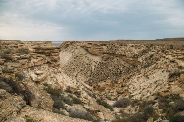 Kazakistan'ın Ustyurt yaylasındaki vadi