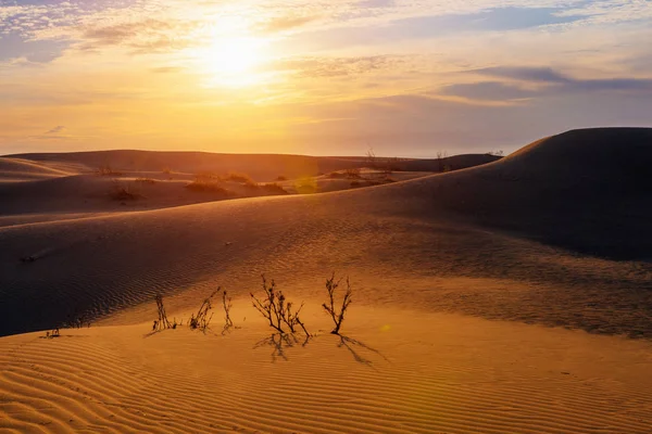 Amanhecer no deserto das dunas — Fotografia de Stock