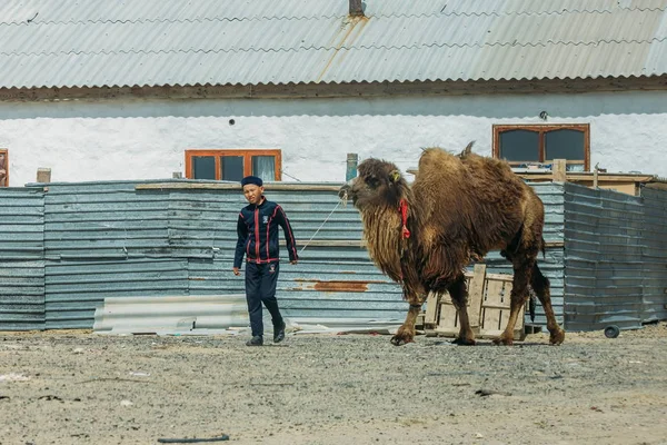 Аральск, Казахстан - 24 апреля 2017 года: казахстанский парень с камерой — стоковое фото