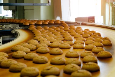 Pişirme üretim hattı. Konveyör bantüzerindeki kurabiyeler, yakın çekim