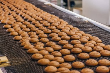 Pişirme üretim hattı. Konveyör bant üzerindeki kurabiyeler 