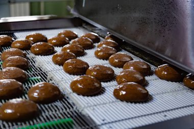 Pişirme üretim hattı. Sır kaplamadan sonra kurabiyeler