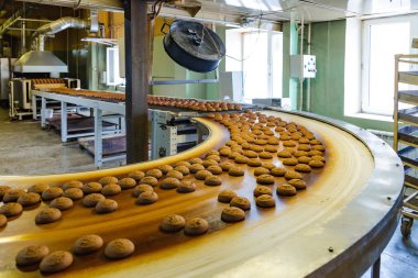 Şekerleme fabrikasının üretim hattı. Tur'da hareket eden kurabiyeler