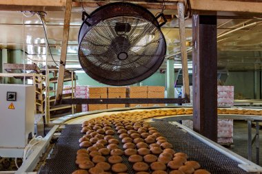 Büyük fan tarafından sadece pişmiş yulaf kurabiye soğutma