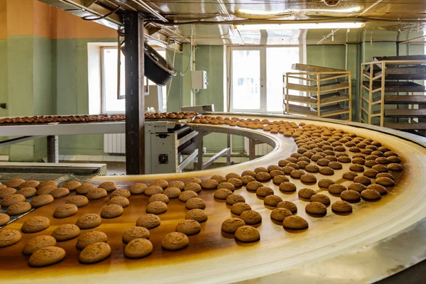 Production line of confectionery factory.  Cookies moving on tur