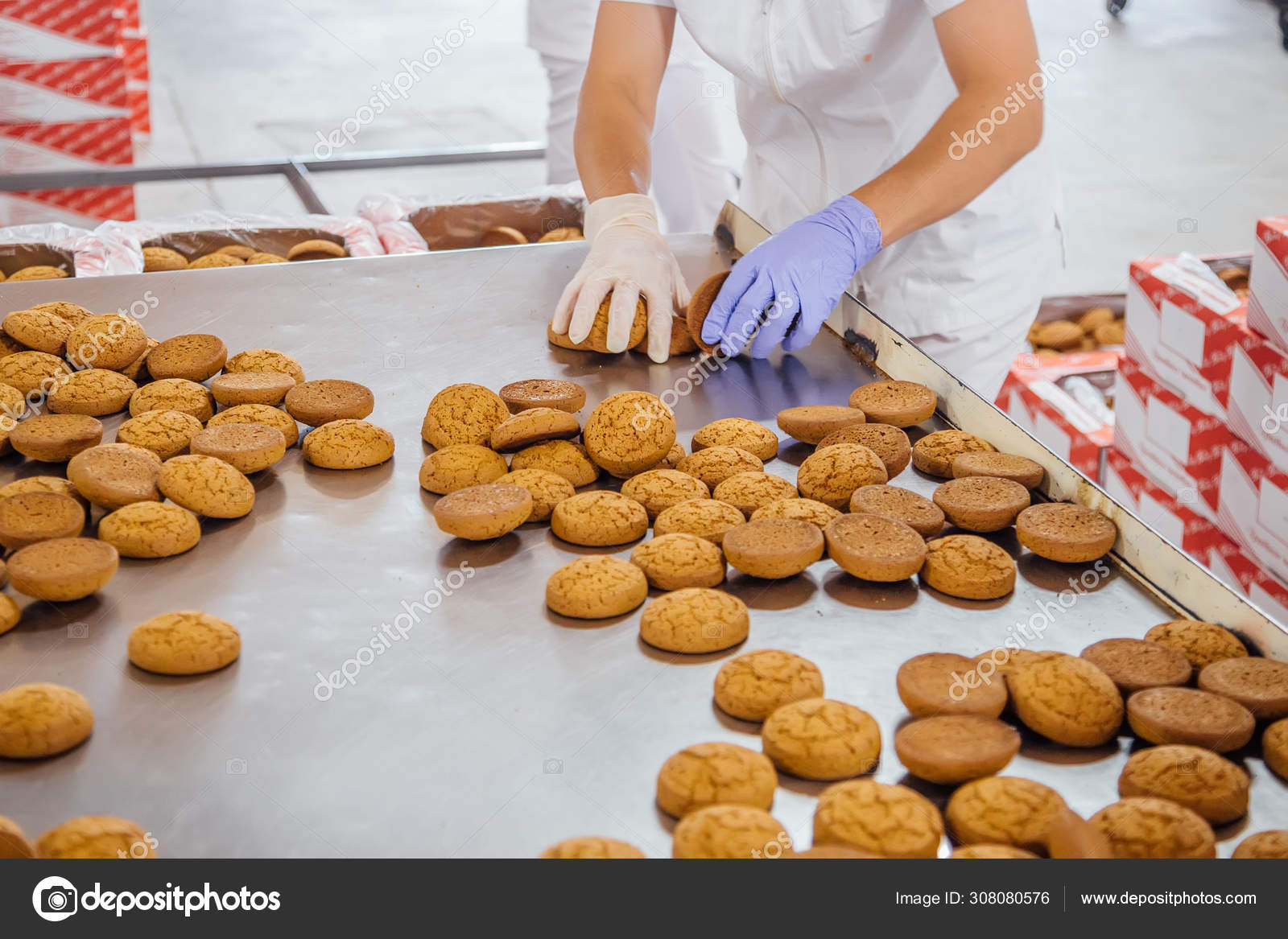 Confectionery workers are sorting and packing oat biscuits on st Stock