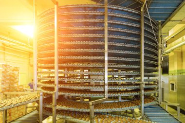 Fırın gıda fabrikasında büyük otomatik yuvarlak konveyör makinesi, c