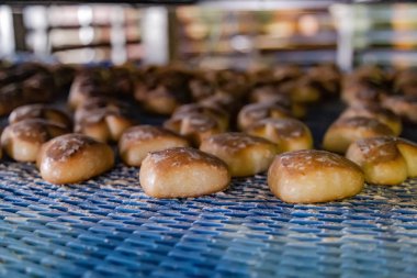 Pişirme üretim hattı. Konveyör bandında sırlı kurabiyeler 