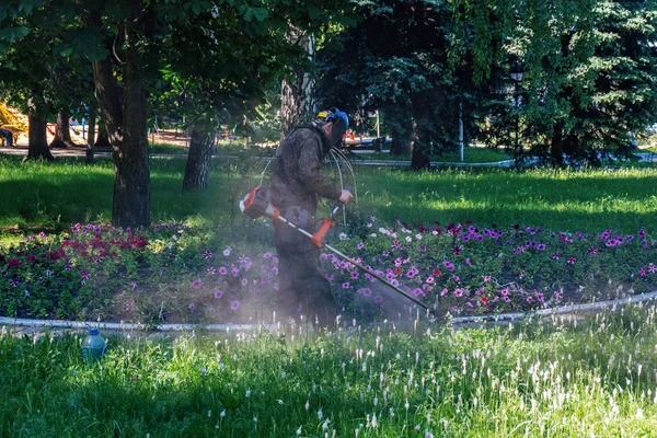 Lavoratore taglio erba in giardino vicino aiuola con petunie di s — Foto Stock