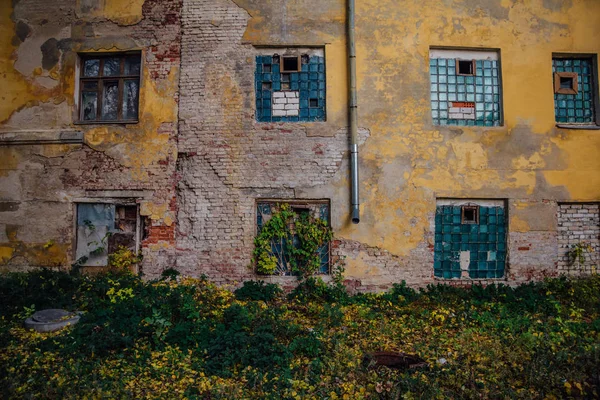 Parede grungy overgrown Shabby, janelas quebradas, casa abandonada — Fotografia de Stock