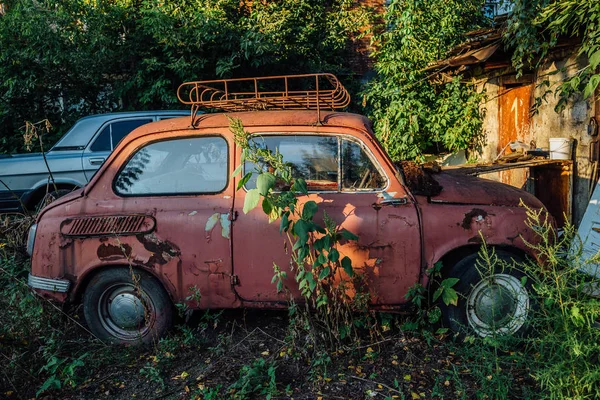 Velho rusty overgrown abandonado vermelho soviete retro carro — Fotografia de Stock