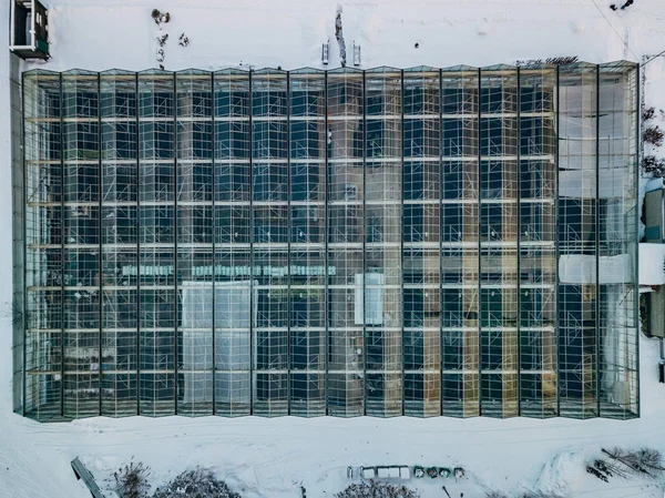 Invernadero de vidrio moderno en invierno, vista superior desde el dron —  Fotos de Stock