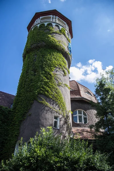 Bella torre d'acqua ricoperta Rauschen, regione di Kaliningrad — Foto Stock