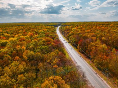 Sonbahar ormanında yol, bulutlu gökyüzü, havadan görünüm