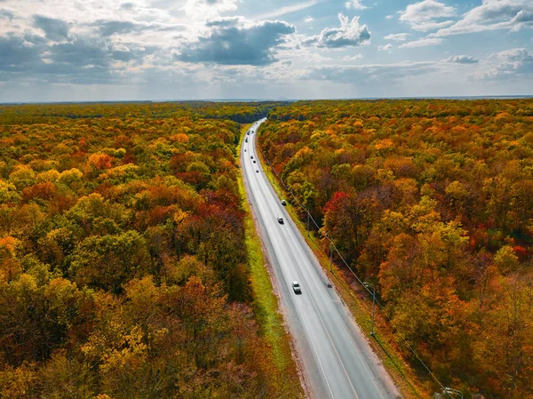 Estrada na floresta de outono, céu nublado, vista aérea — Fotografia de Stock