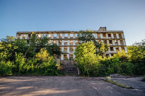 Overgrown ruins of house or industrial building, green post-apoc — Stock Photo, Image