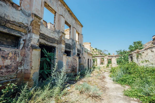 放棄された生い茂った荒廃した建物 — ストック写真