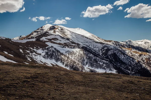 Dağ manzarası, karlı tepeler, Arkhyz, Kafkas dağları, Ru — Stok fotoğraf