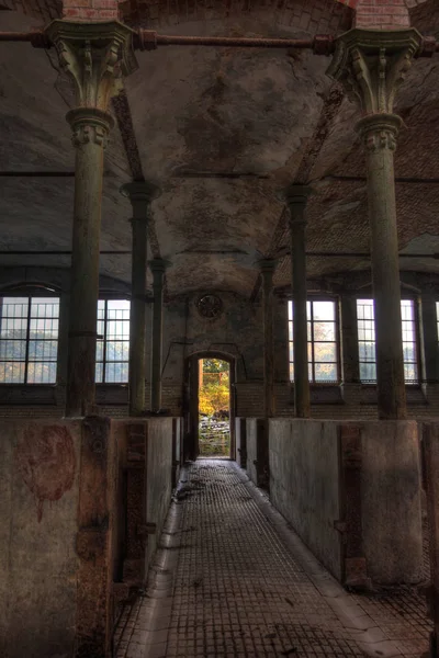 Establecimiento abandonado para el ganado en el matadero alemán Rosenau —  Fotos de Stock