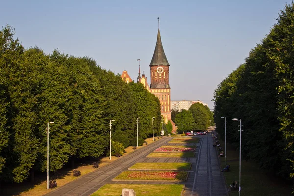 Pohled na park a katedrálu v Kaliningradu — Stock fotografie
