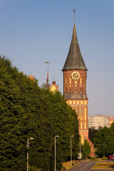 Πύργος με ρολόι στον καθεδρικό ναό στο Καλίνινγκραντ — Φωτογραφία Αρχείου